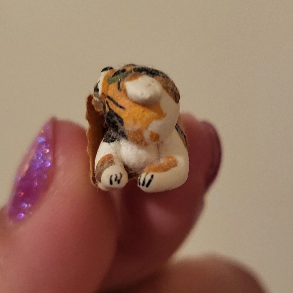 Micro kitty - Picture 3 of 8